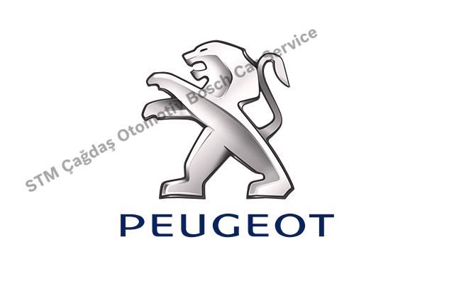 Bursa Nilüfer Peugeot Servisi